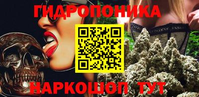 a pvp Свободный