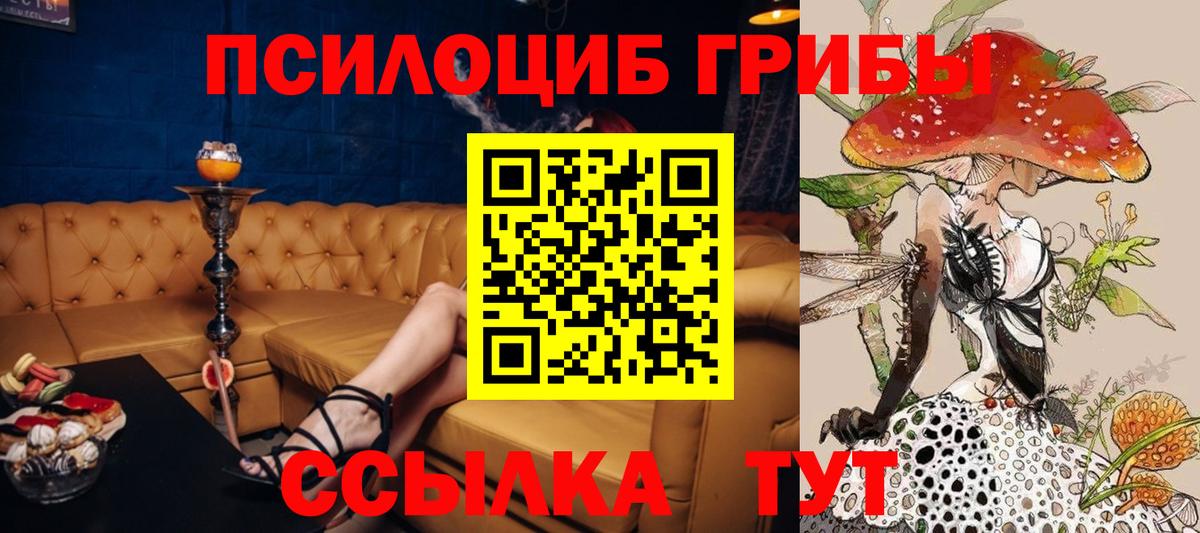 Галлюциногенные грибы Psilocybe Подольск