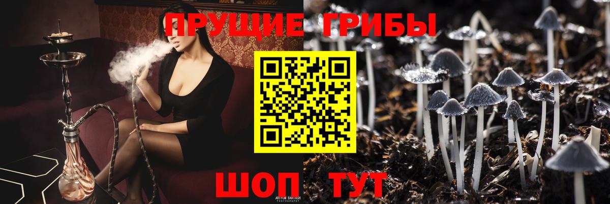 Подольск  цены наркотик  Вход с VPN  Псилоцибиновые грибы Psilocybine cubensis 